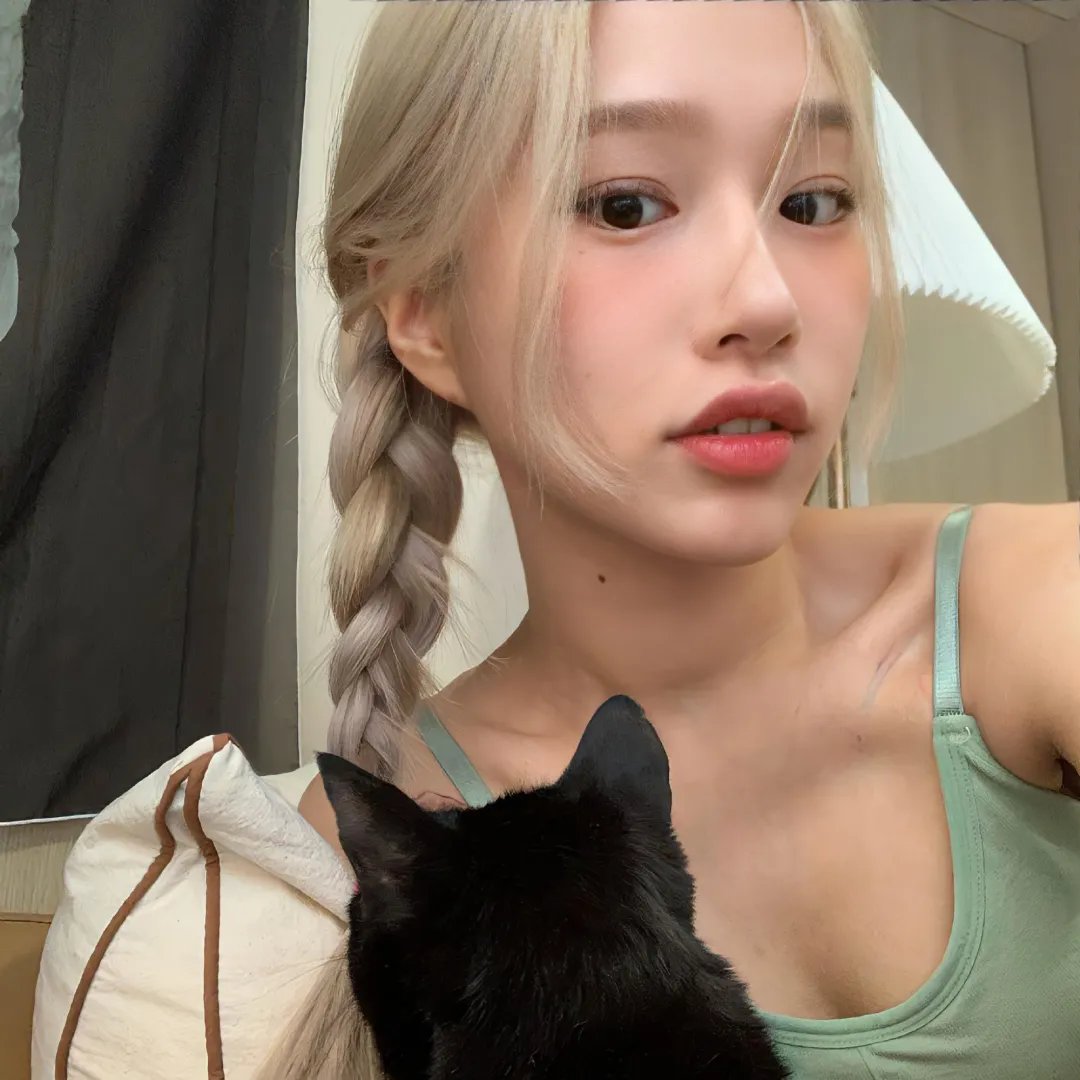 房子与狗